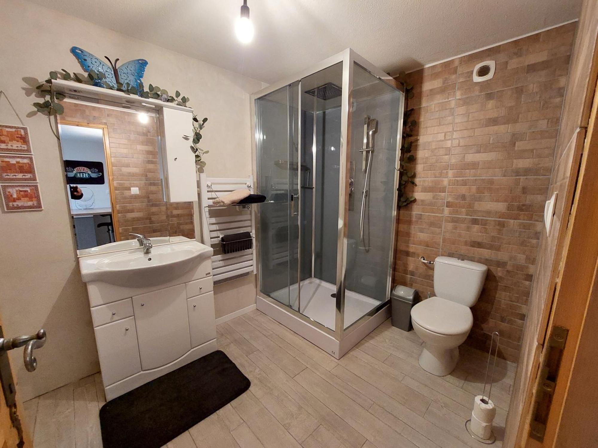 Confortable Studio 37M2 Netflix Canal+... Albertville Buitenkant foto